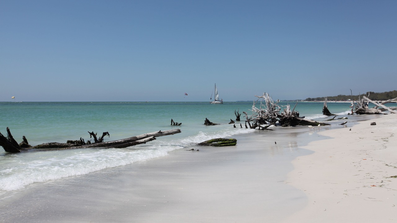 Photo of Others in Whitney Beach