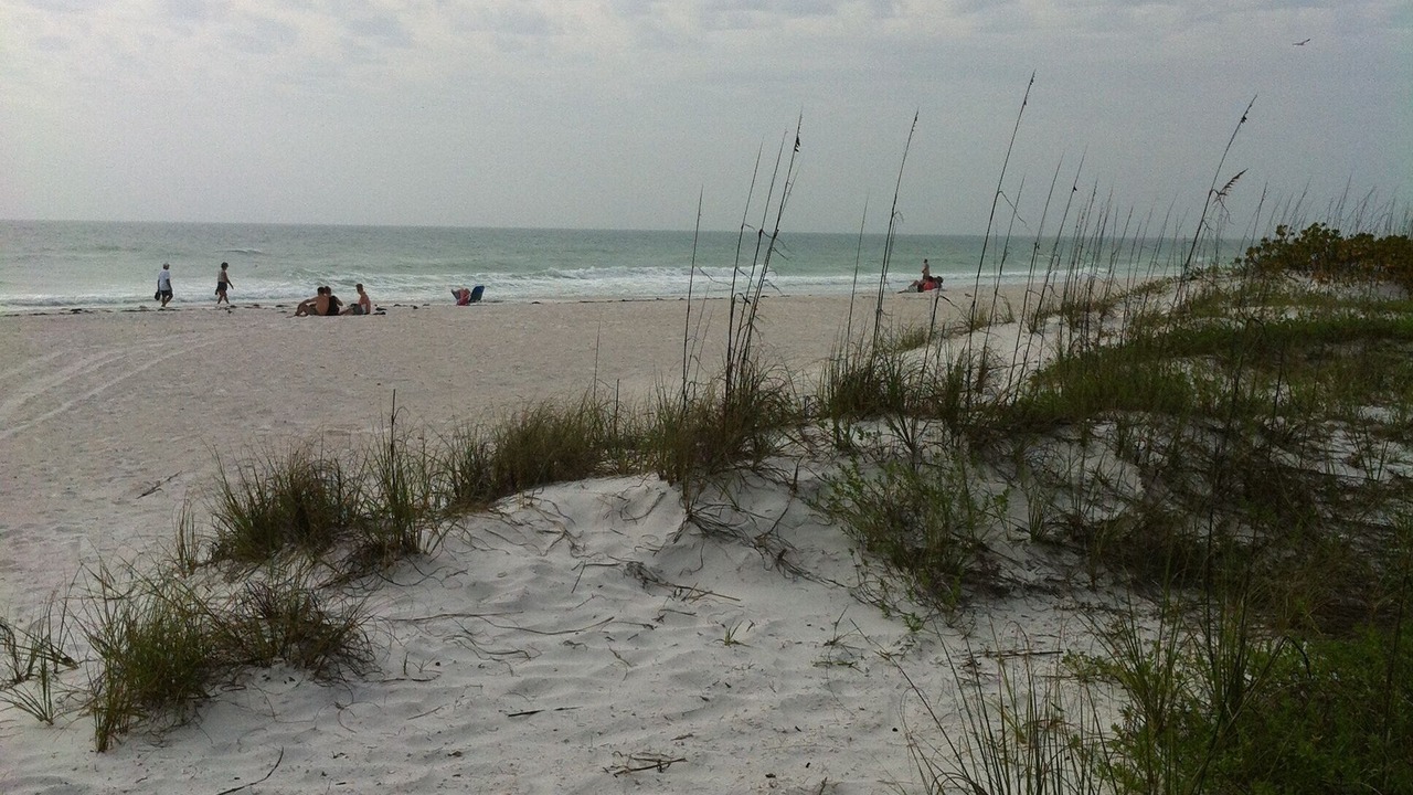 Photo of Others in Whitney Beach