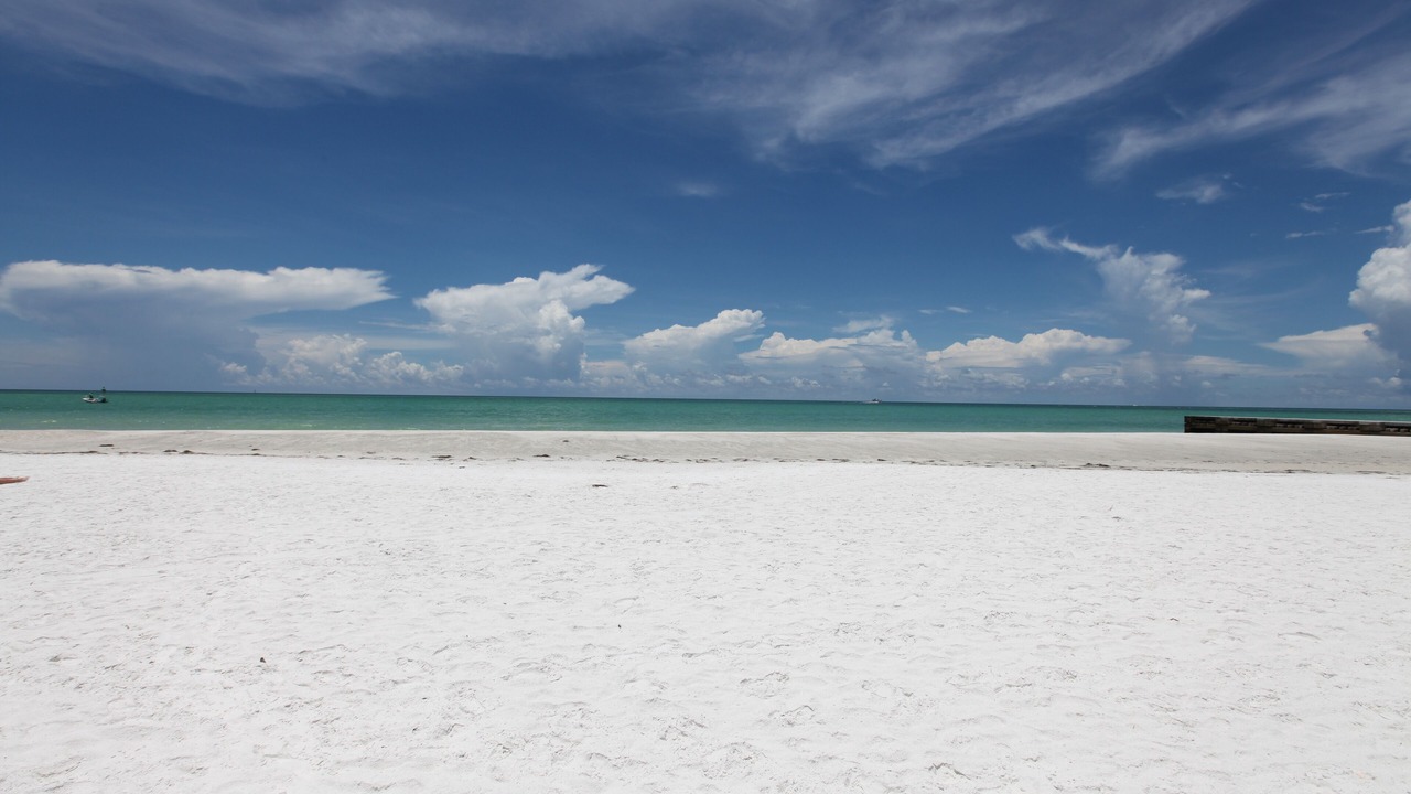 Photo of Others in Whitney Beach
