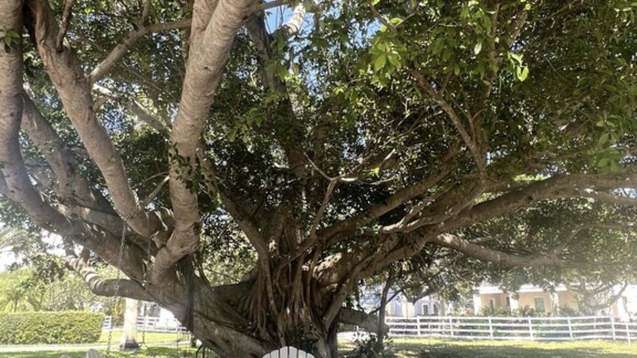 Photo of Outdoor in Whitney Beach