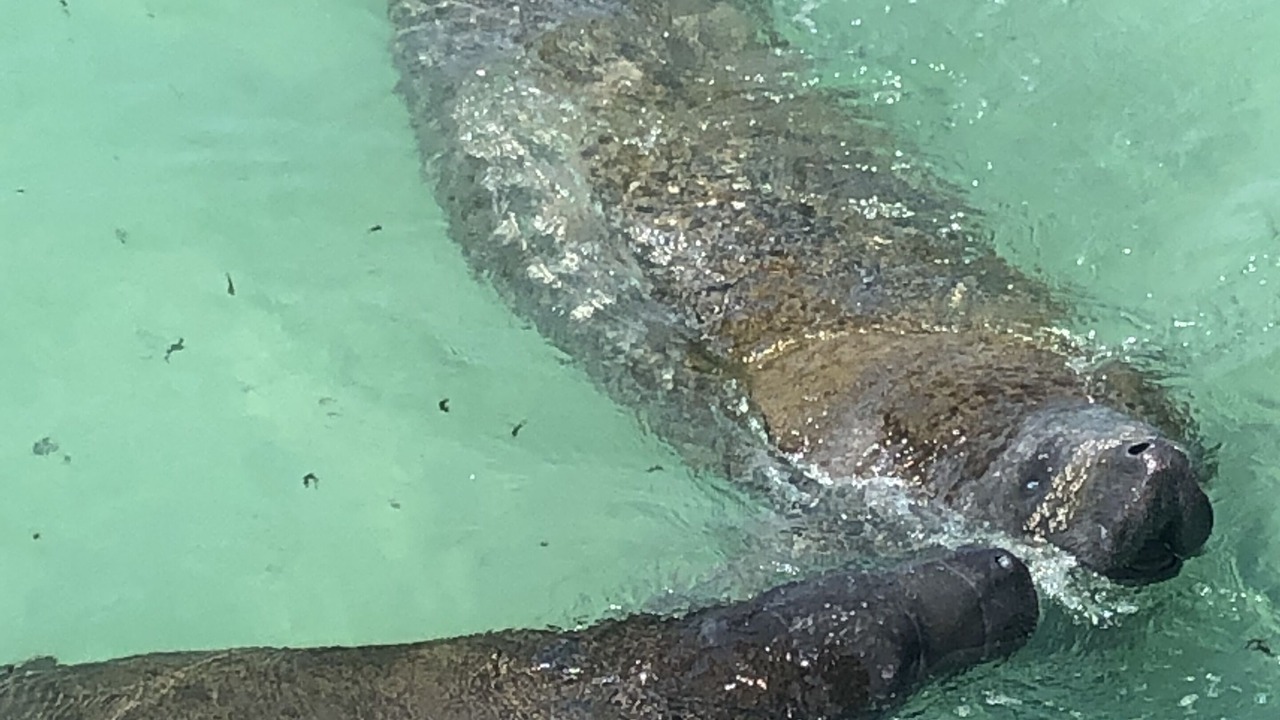 Photo of Others in Whitney Beach