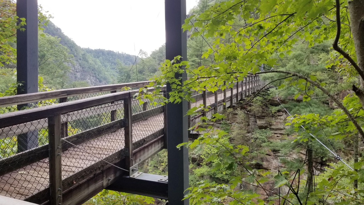 Photo of Others in Cherokee