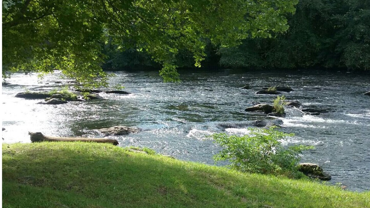 Photo of Others in Cherokee