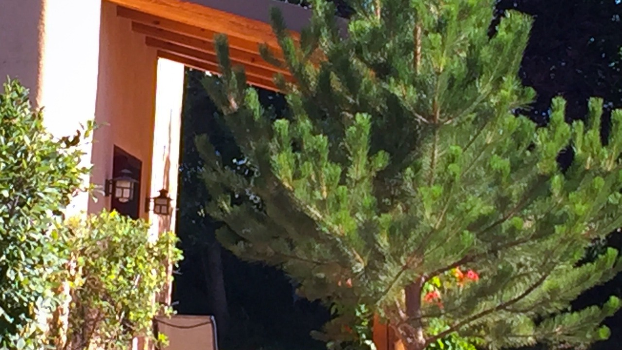 Photo of Outdoor in Taos