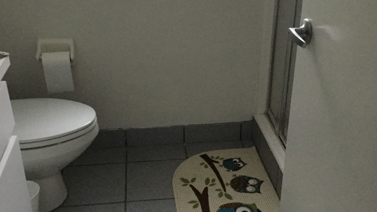 Photo of Bathroom in Dunnellon