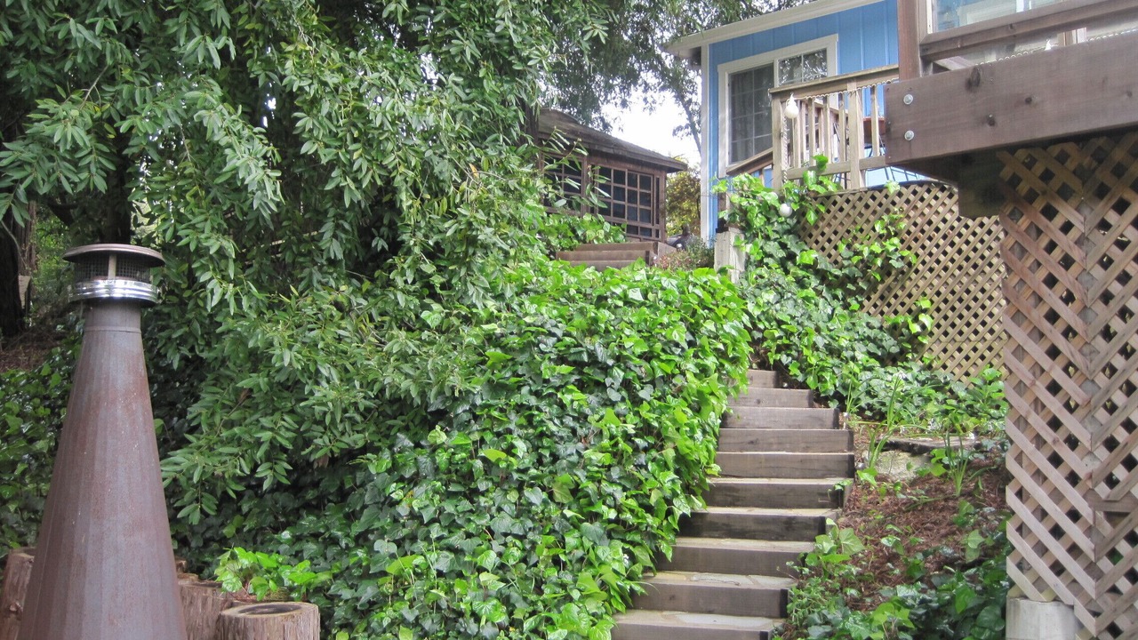 Photo of Outdoor in Northwood