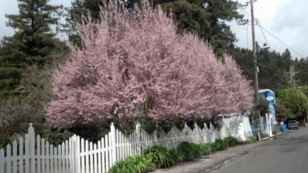 Photo of Others in Northwood