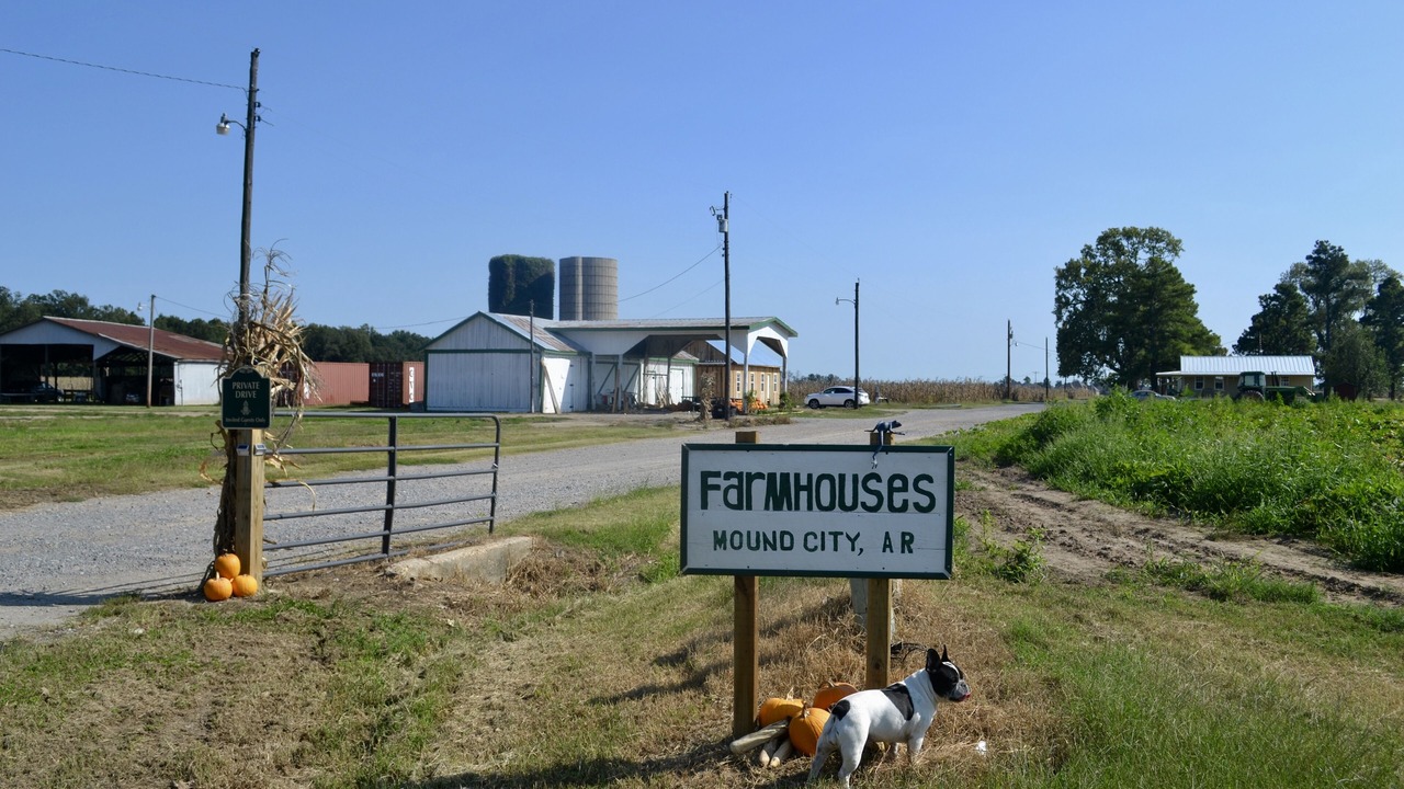 Photo of Others in Marion