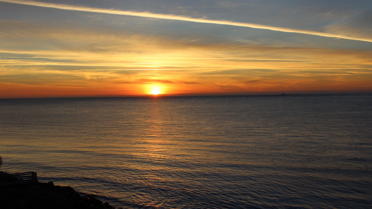 Photo of Others in Saint Simons Island