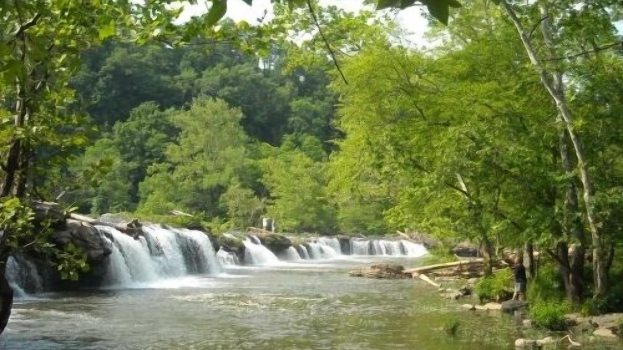 Photo of Others in Fayetteville