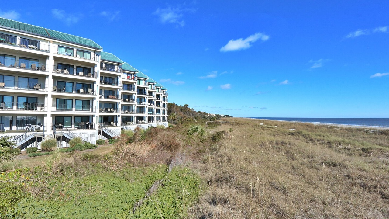 Photo of Outdoor in Folly Field