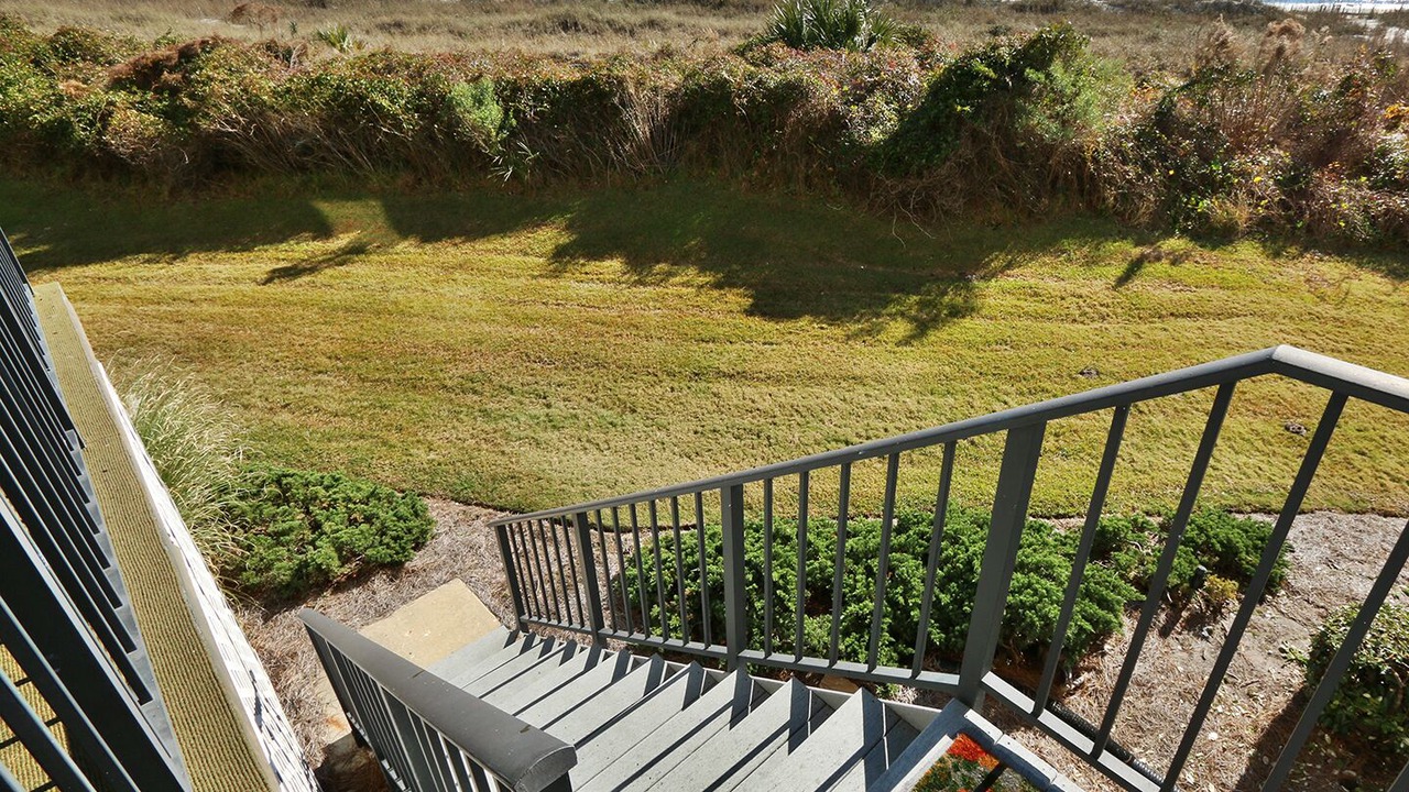 Photo of Outdoor in Folly Field