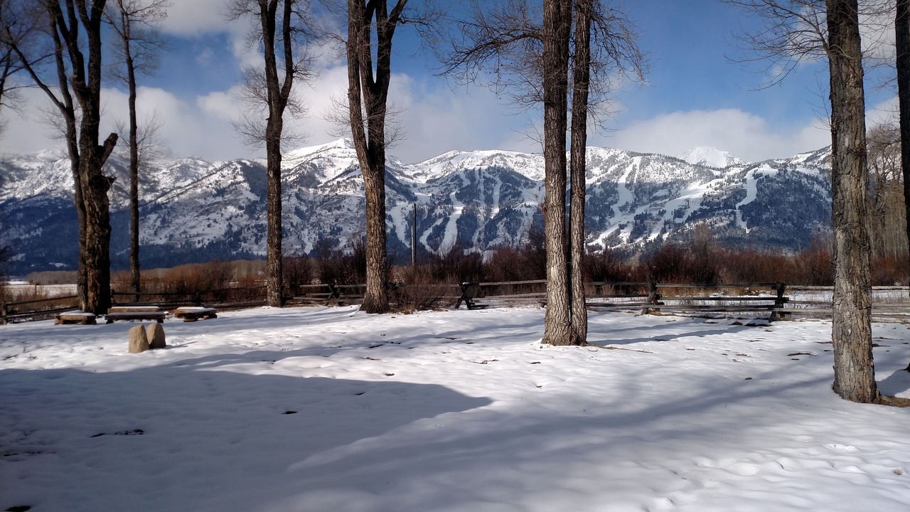 Photo of Outdoor in Wilson