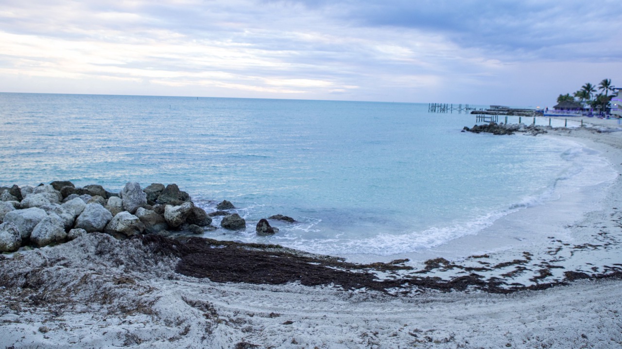 Photo of Others in Key Colony Beach