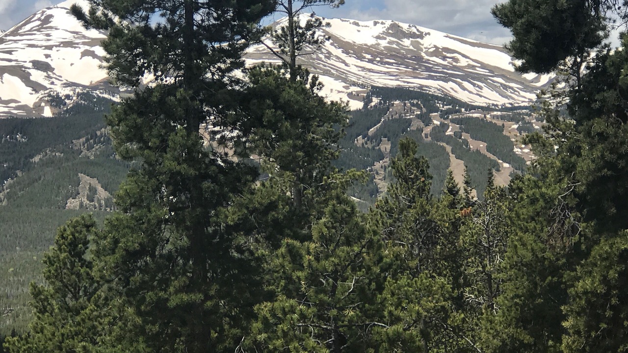 Photo of Others in Baldy Mountain
