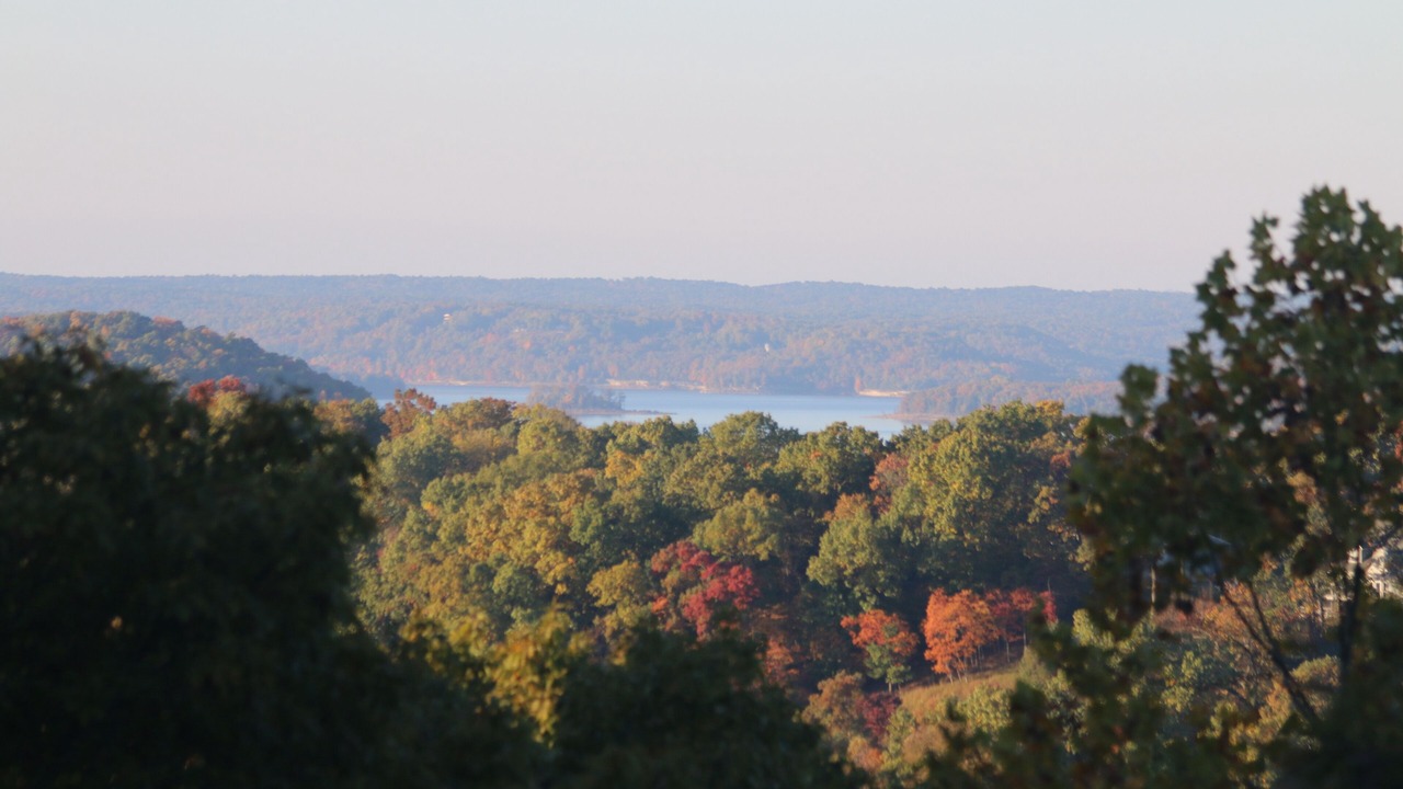 Photo of Others in Sylvan Shores