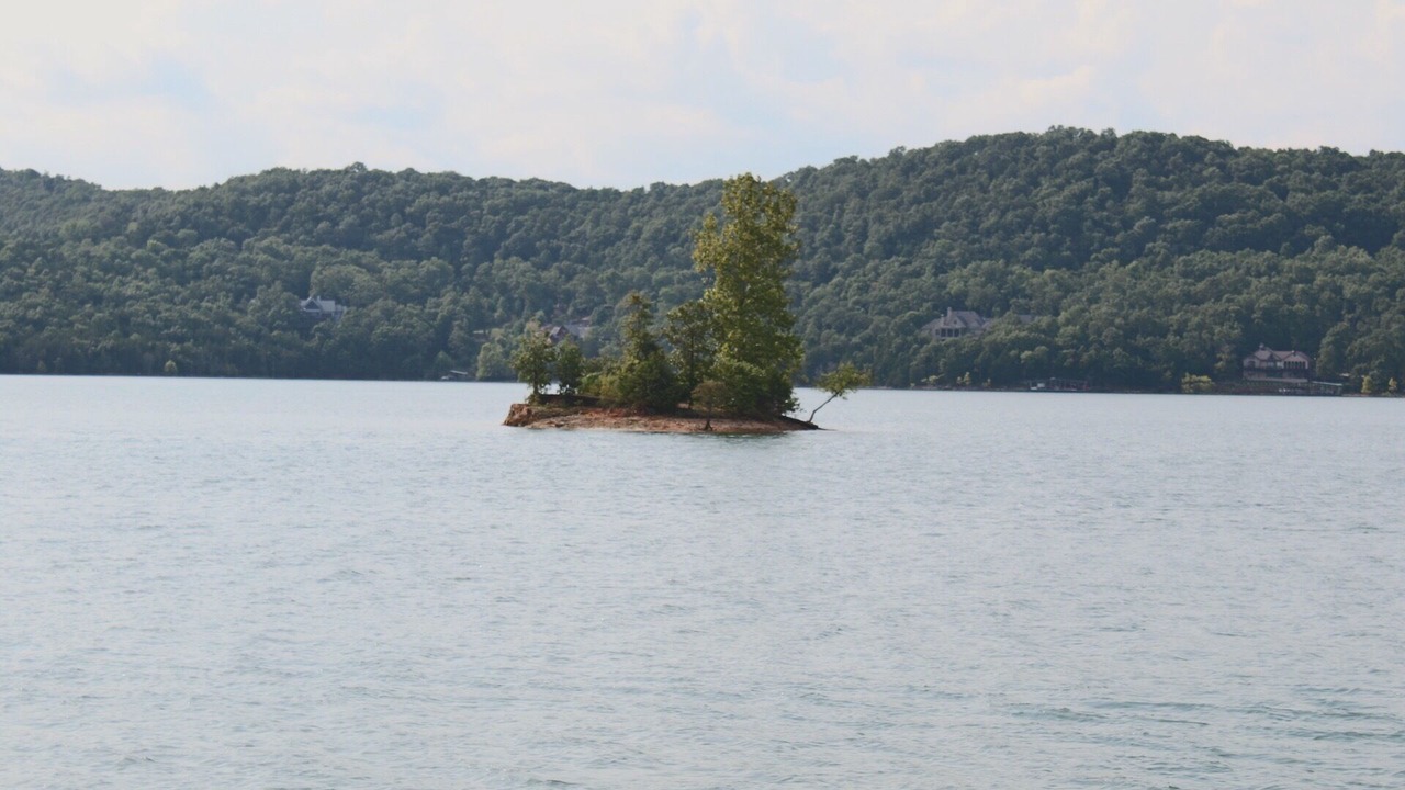 Photo of Others in Sylvan Shores