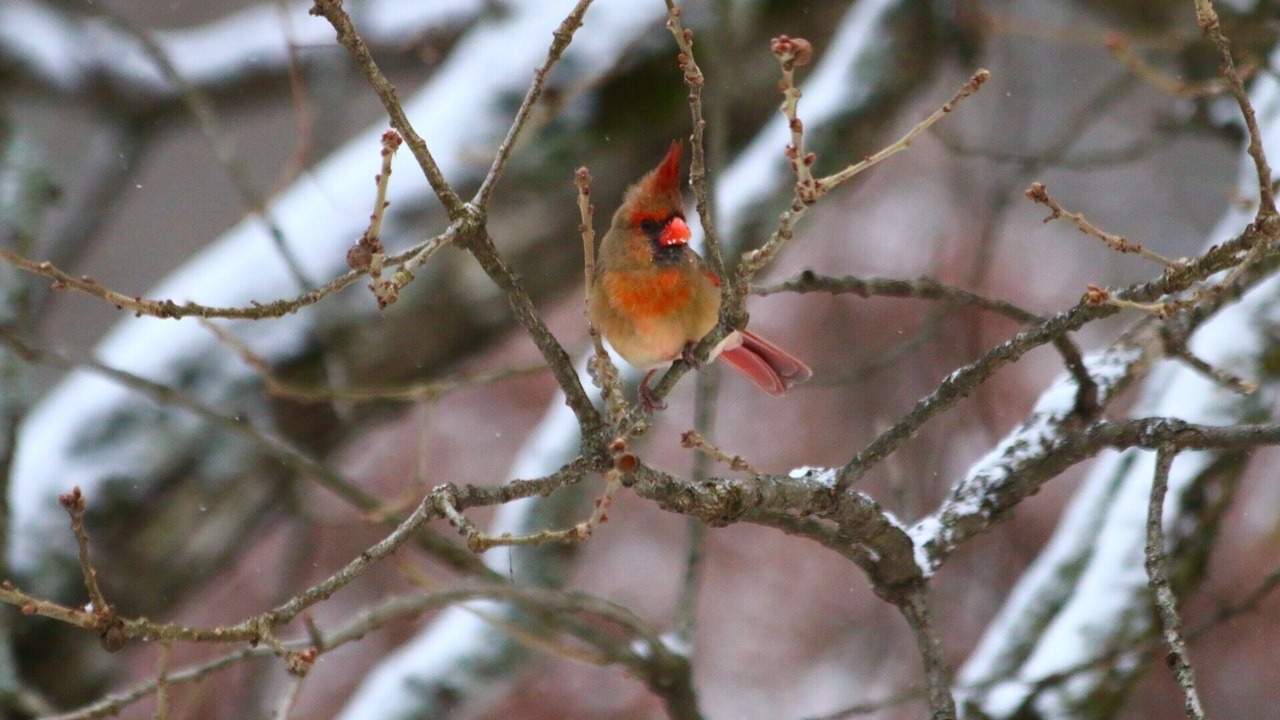 Photo of Outdoor in Sylvan Shores