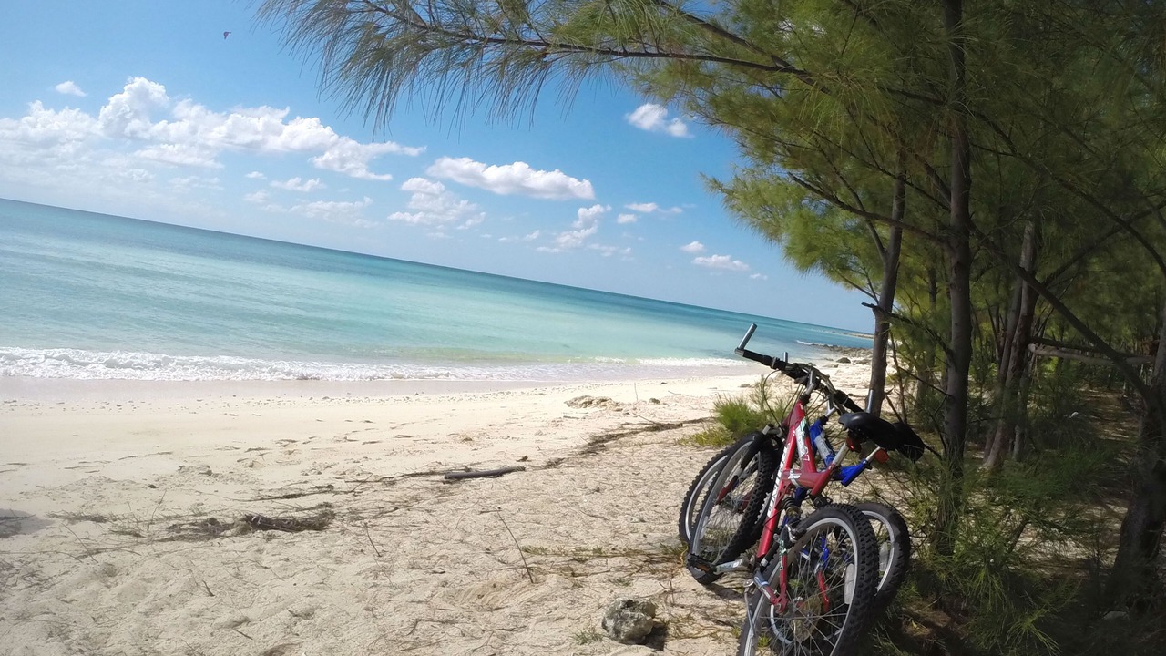 Photo of Others in Bahamia West