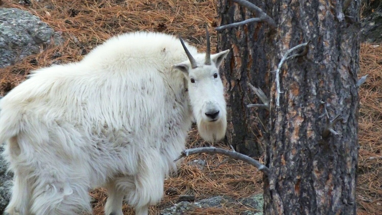 Photo of Outdoor in Hill City