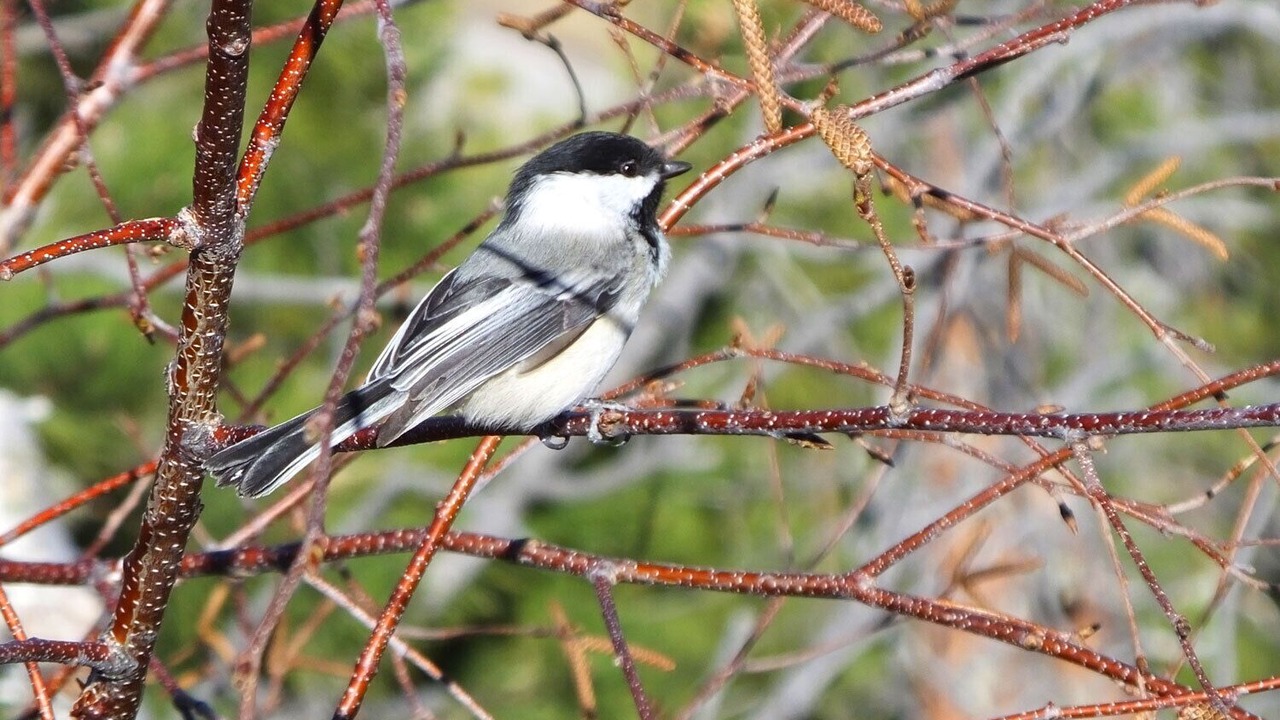 Photo of Outdoor in Hill City