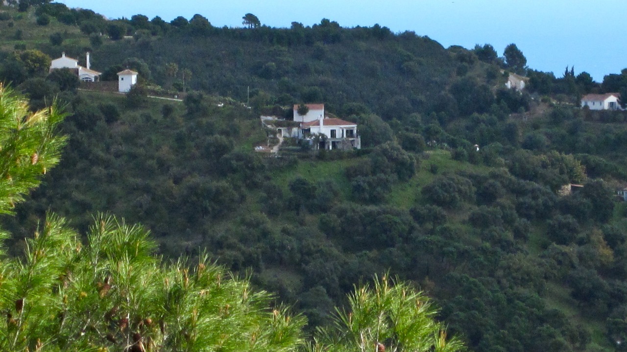 Photo of Others in Casares
