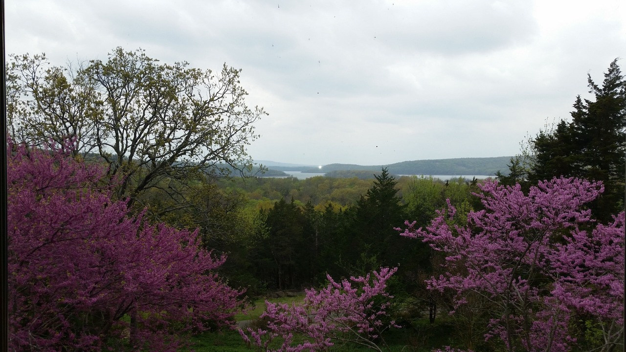 Photo of Outdoor in Pettit