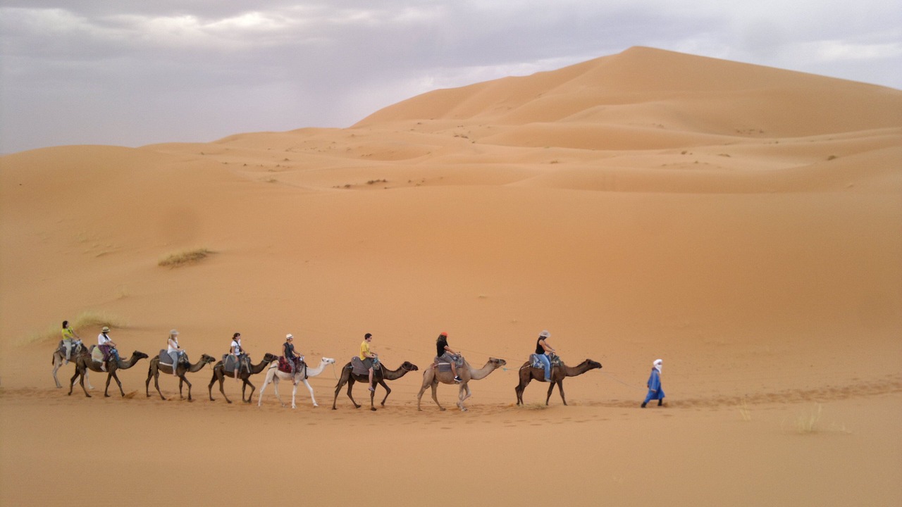 Photo of Others in Taouz