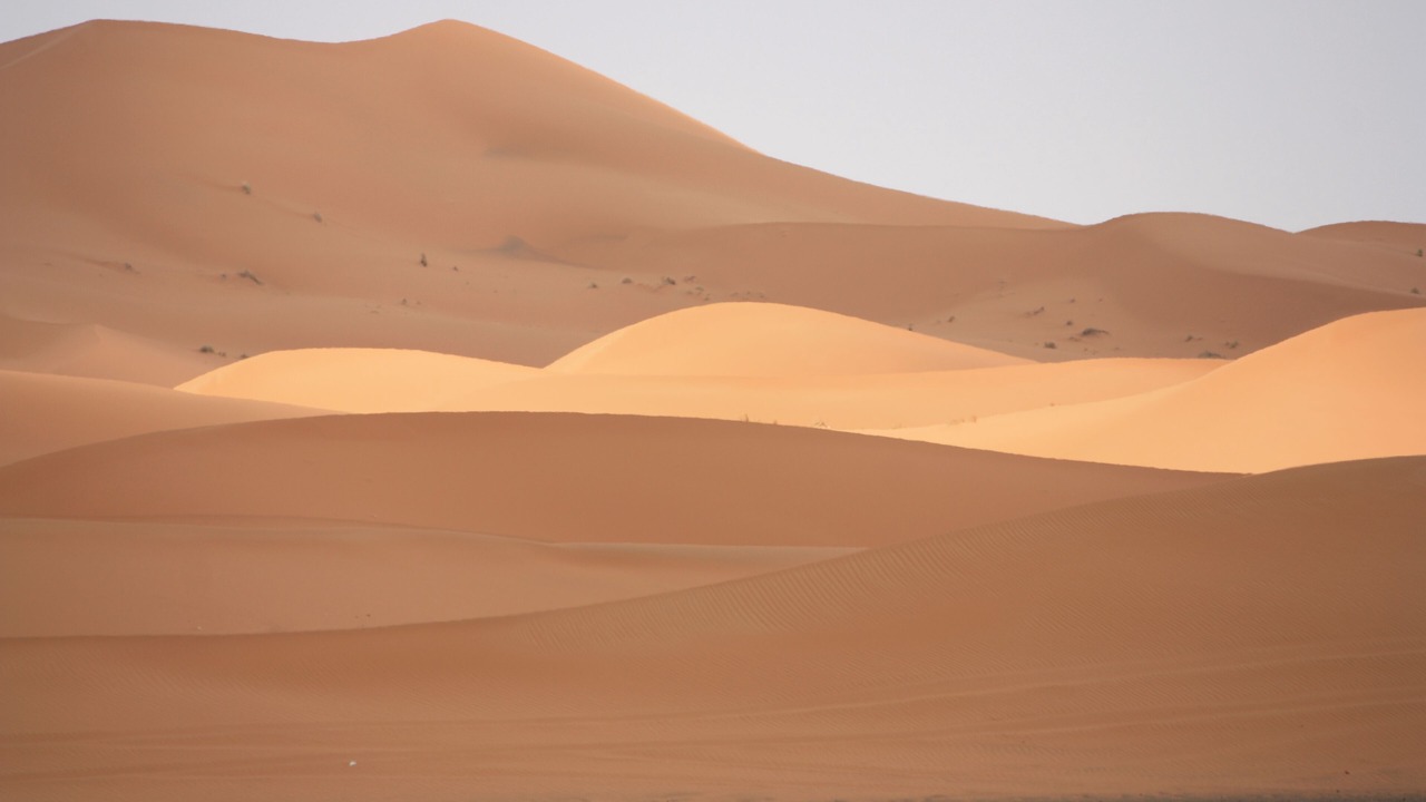Photo of Others in Taouz