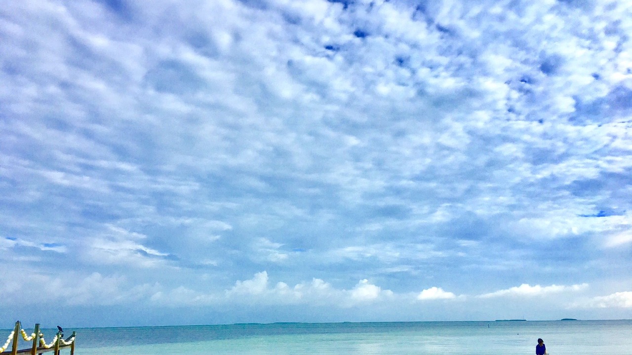 Photo of Others in Islamorada