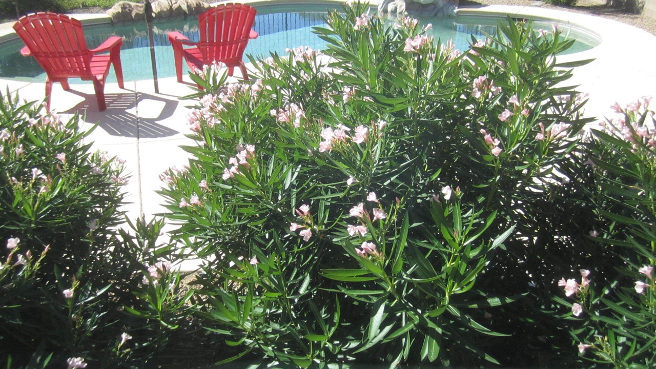 Photo of Outdoor in Continental Reserve