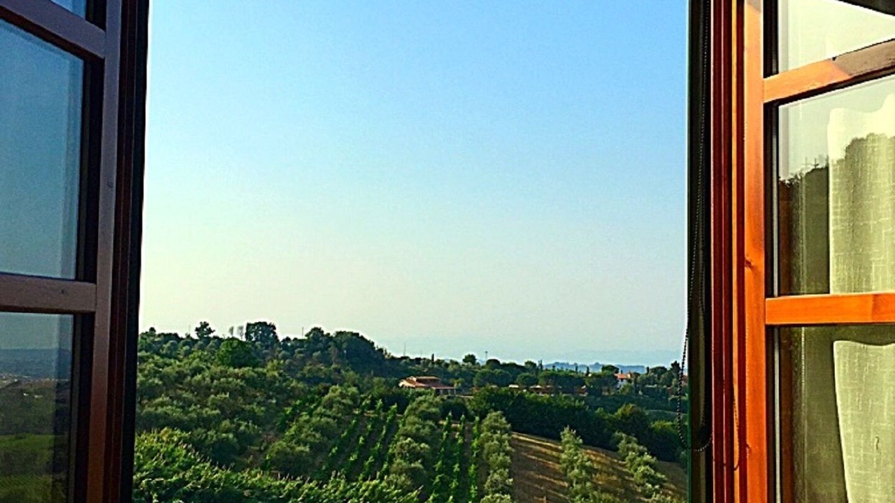 Photo of Others in Montaione