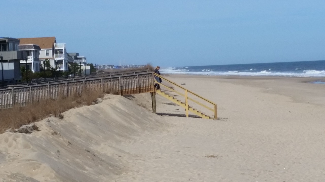 Photo of Others in Ocean View
