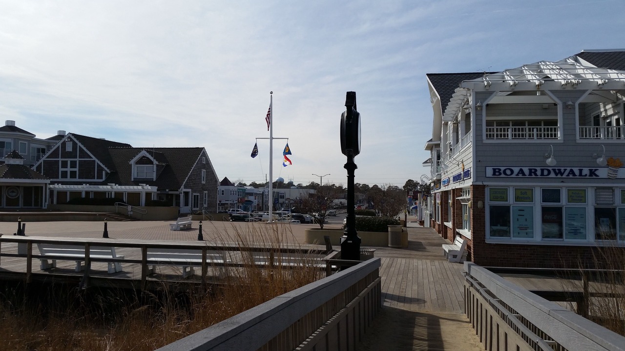 Photo of Others in Ocean View