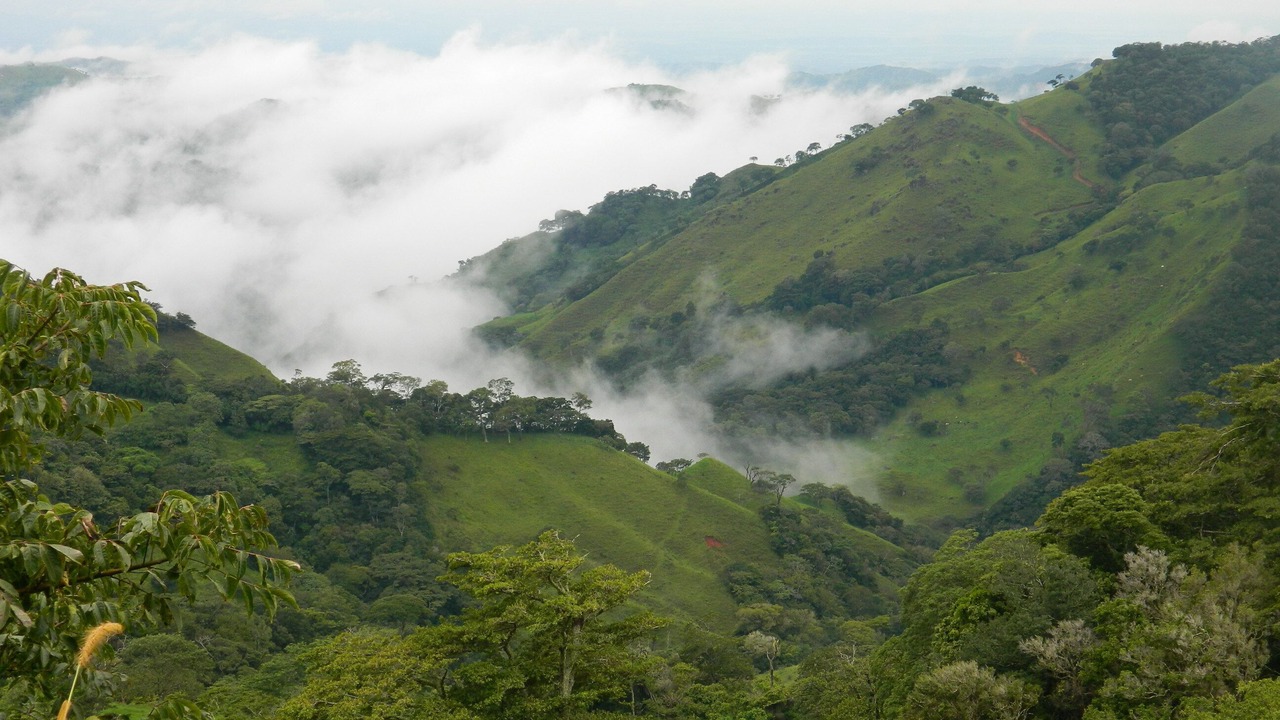 Photo of Others in La Lindora