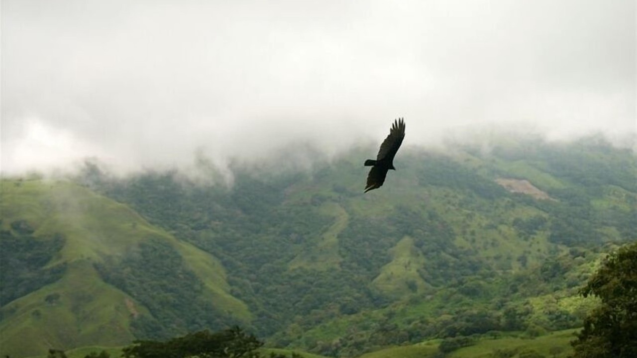 Photo of Others in La Lindora