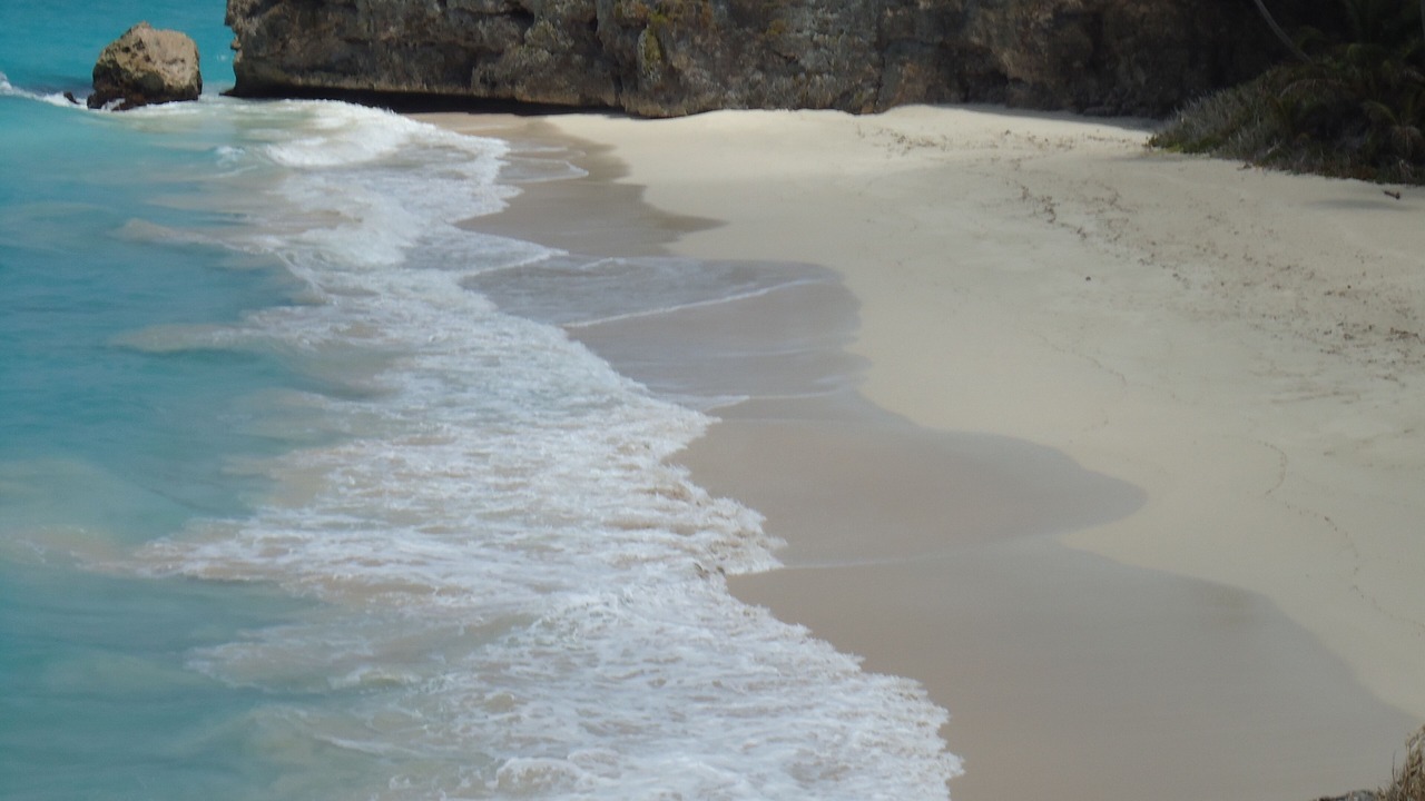 Photo of Others in Bottom Bay