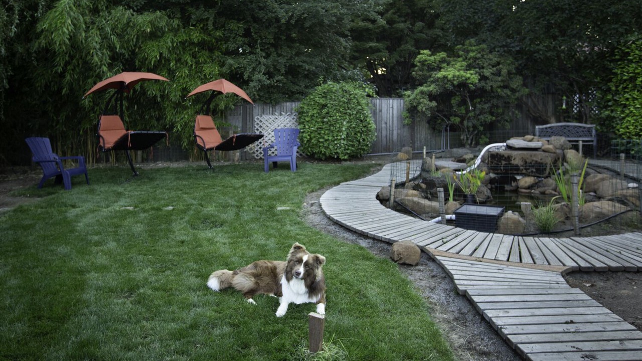 Photo of Outdoor in Multnomah Village