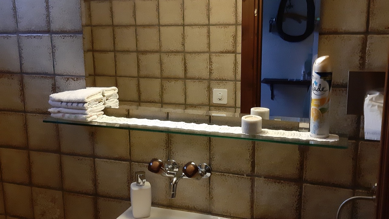 Photo of Bathroom in Albula-Alvra