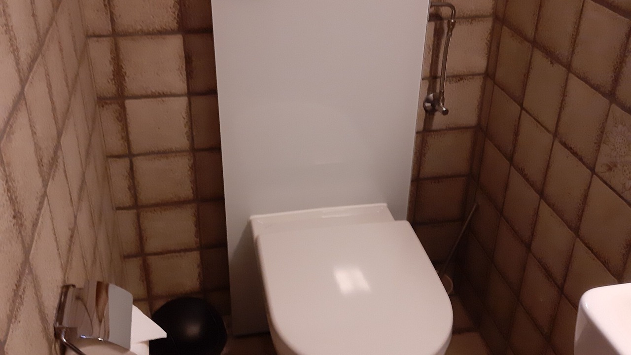Photo of Bathroom in Albula-Alvra