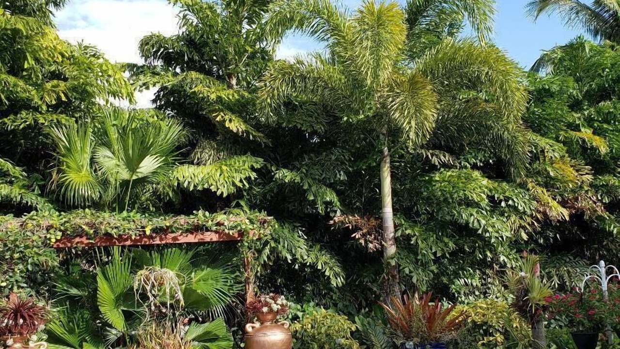 Photo of Outdoor in Fort Lauderdale