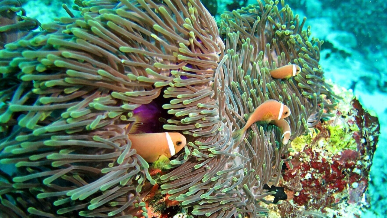 Photo of Outdoor in Dhiffushi