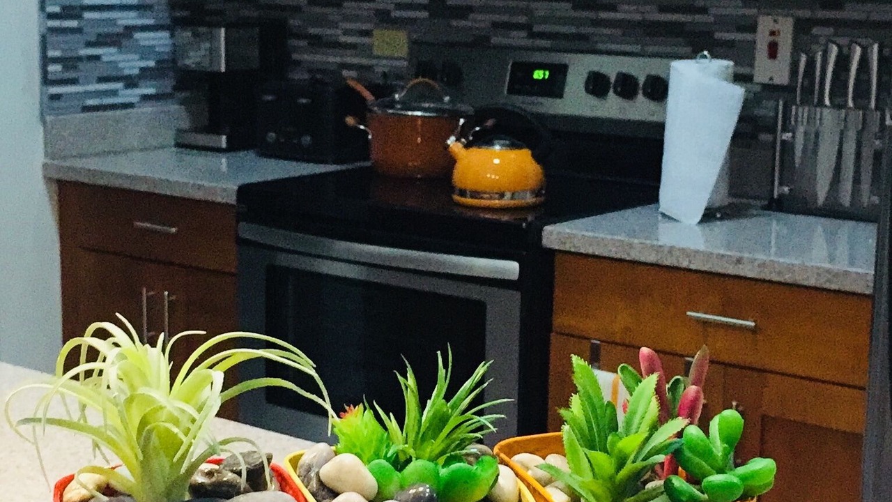 Photo of Kitchen in Montego Bay