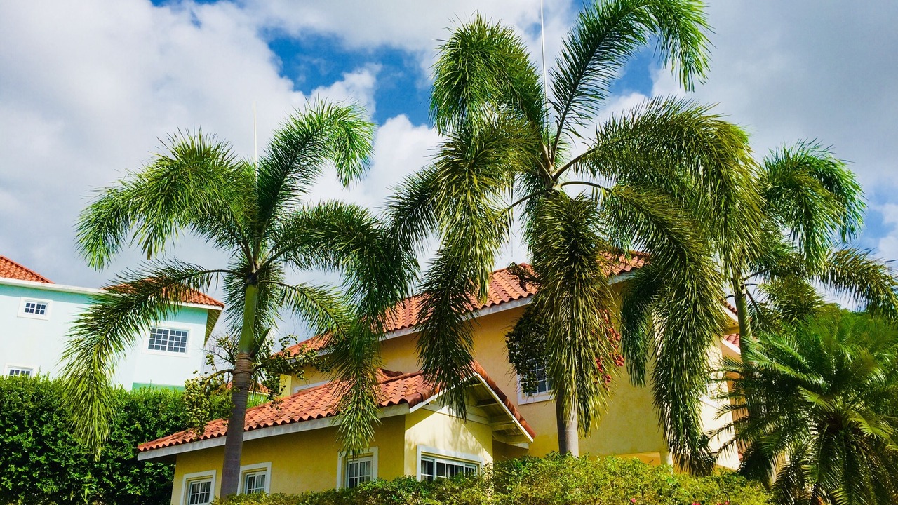 Photo of Outdoor in Montego Bay