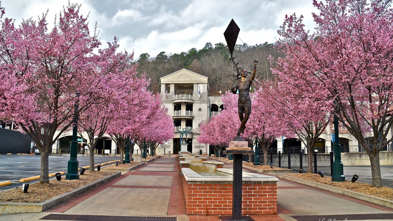 Photo of Outdoor in Lake Hamilton
