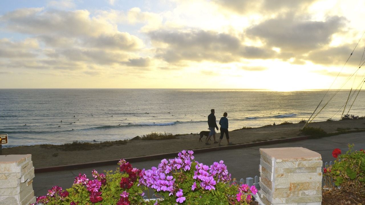 Photo of Others in North Pacific Beach