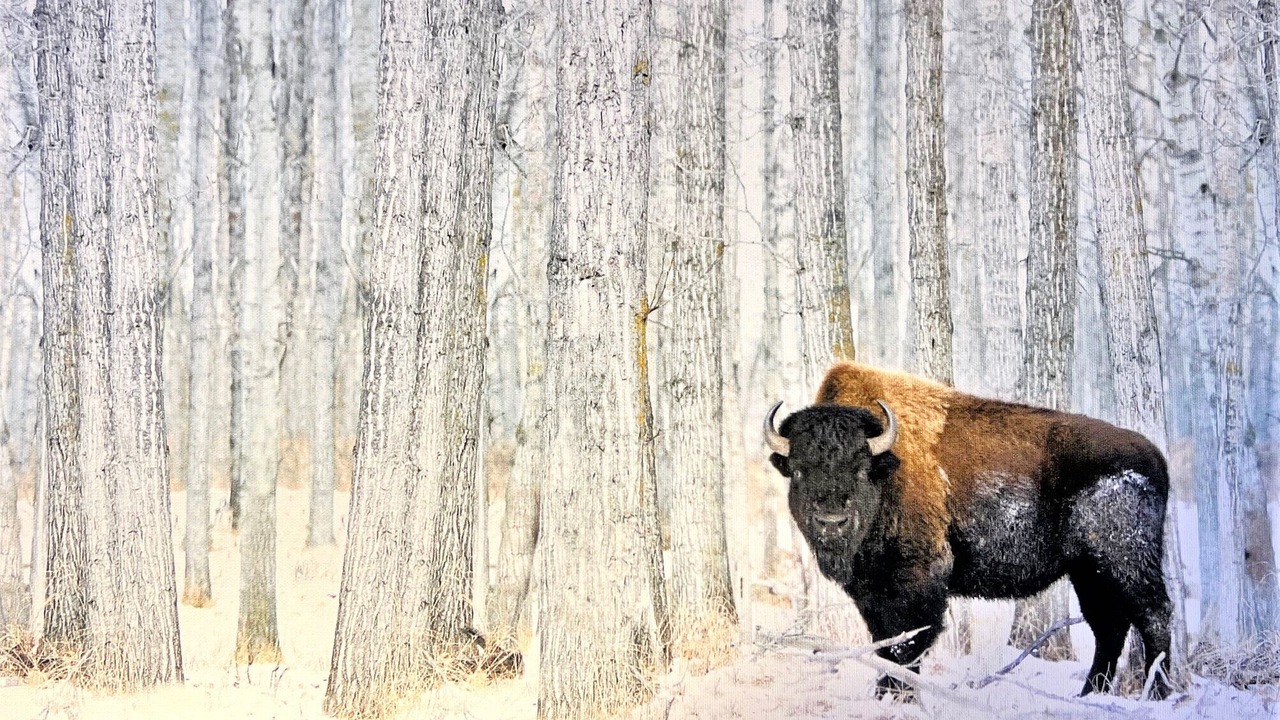 Photo of Others in Peak 8