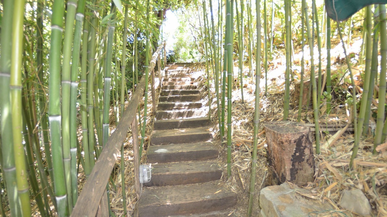 Photo of Outdoor in Massarosa