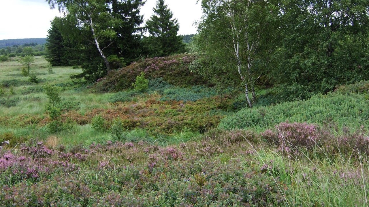 Photo of Outdoor in Gemund