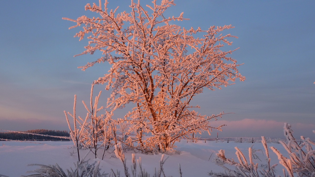 Photo of Outdoor in Gemund